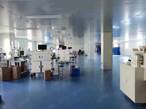 源头与创新 上海消字号代加工厂与软件开发的双轨发展